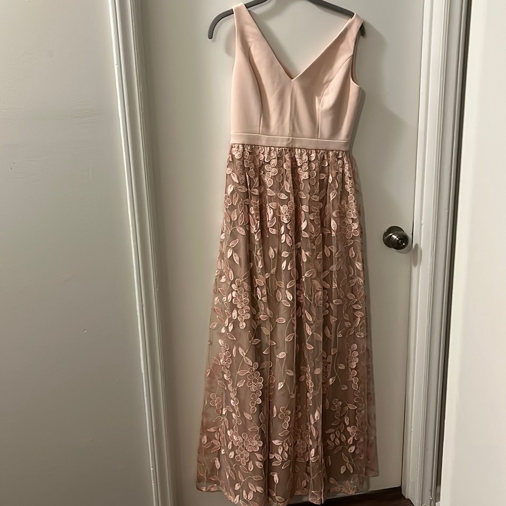 Adrianna Papell Blush Pink and Nude Floral Embroidered Maxi Dress